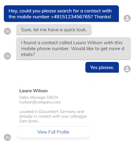 microsoft-dynamics-extension-search-contact-example-chat.PNG
