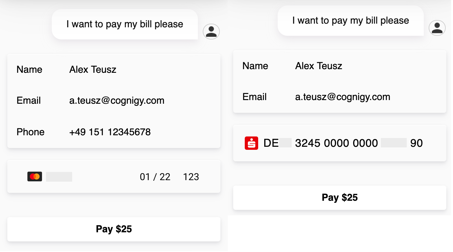 stripe-webchat-plugin-examples-iban-credit-card.png